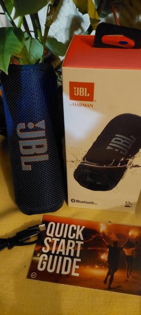 JBL flip 6.   