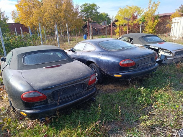 Jaguar álom csomag - Lepd meg magad Karácsonyra!
