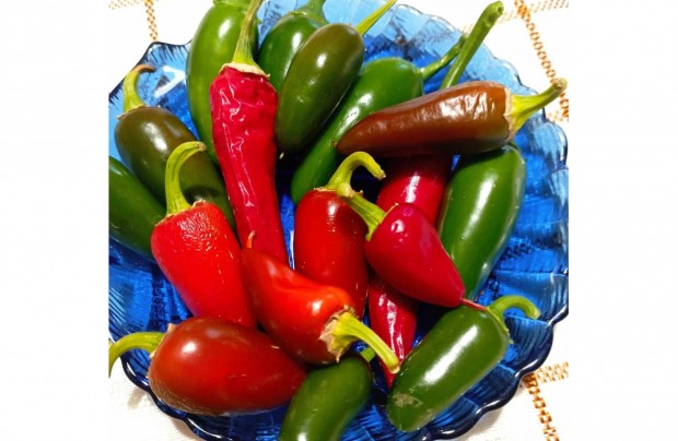 Jalapeno chili mag 30 db!!! (paprika, paradicsom, Tavalyi ron!!!)