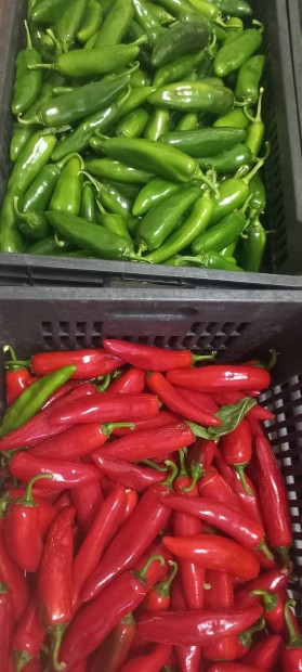 Jalapeno chili papriks