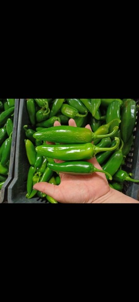 Jalapeno paprika