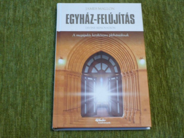 James Mallon: Egyhz-feljts - A megjuls kziknyve plbniknak