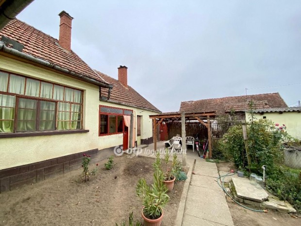 J�noshalmai elad� 120 nm-es h�z