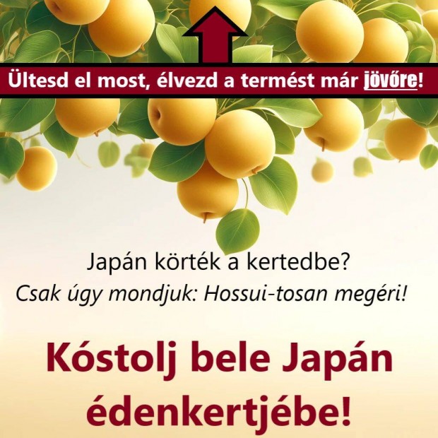 Japn krtk a kertedbe? Csak gy mondjuk: Hossui-tosan megri!