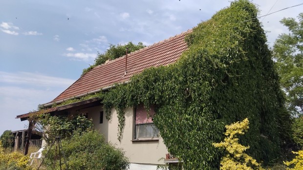 J�szd�zs�n elad� egy b�jos, vad�szh�z st�lus� ingatlan