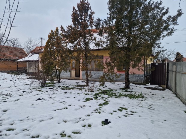 J�szj�k�halma frekvent�lt r�sz�n elad� fel�j�tand� csal�di h�z