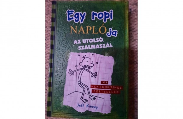 Jeff Kinney: Egy ropi naplja, Az utols szalmaszl