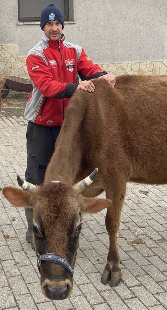 Jersey fejstehn elad