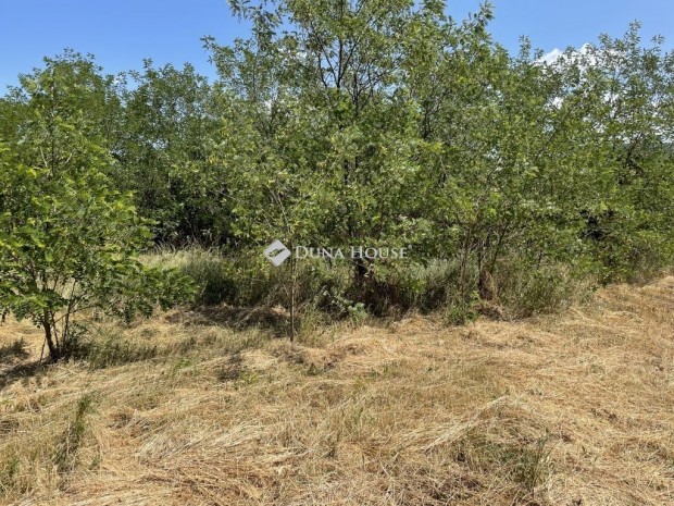 Jobb�gyii elad� 634 nm-es telek