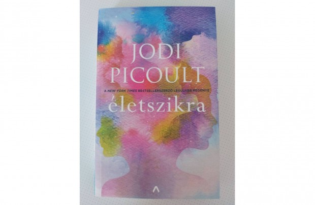 Jodi Picoult: letszikra