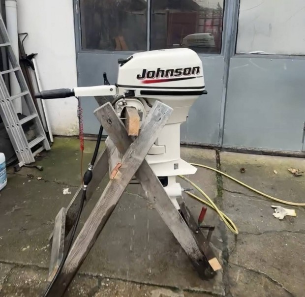 Johnson 15 hp csnakmotor