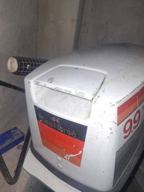 Johnson 9,9. Csnak motor