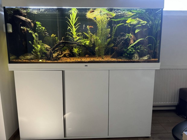 Juwel Rio 450 led kombinci akvrium aquarium