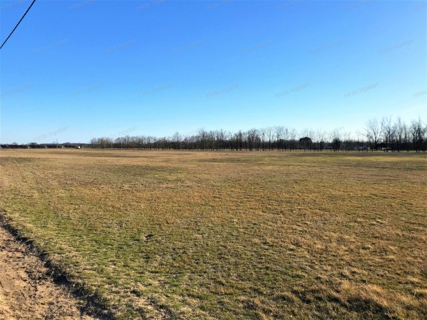 KECSKEM�T K�LTER�LET�N �P�T�SI TELKEK ELAD�K!!