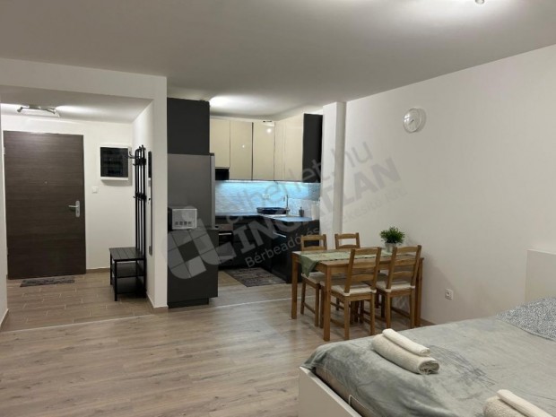 KIAD� modern, azonnal k�lt�zhet� lak�s XIX. ker�let, Zr�nyi utc�ban