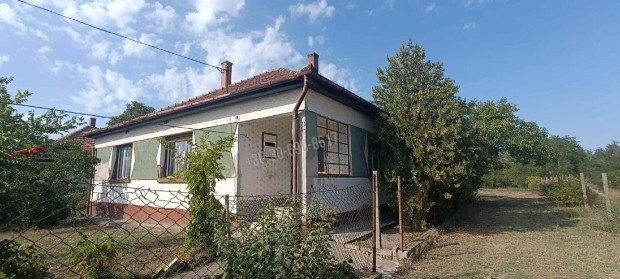 K�LT�ZHET�! 101_fea