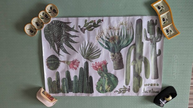 Kaktuszok fali / ablak matrica, dekor, dekorci 