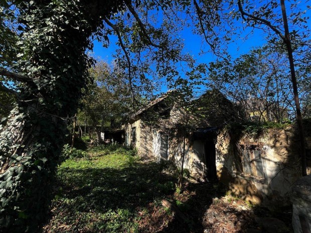 K�li-medence, K�kk�t lak��vezeti telek term�sk� h�zzal