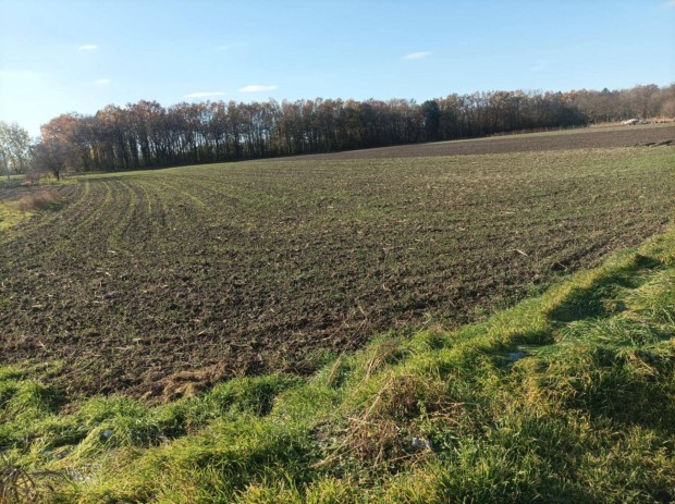 Kalocsai �p�t�si telek - Fokt�i �t