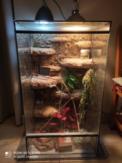 Kamleon terrarium 