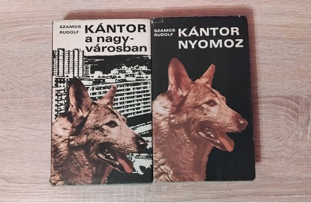 Kntor nyomoz Kntor a nagyvrosban knyv egyben