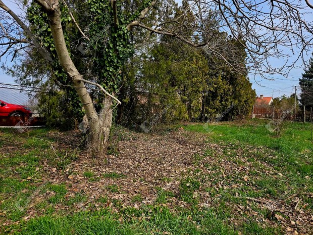 K�poln�sny�k  ahol a tervekb�l val�di otthon sz�letik