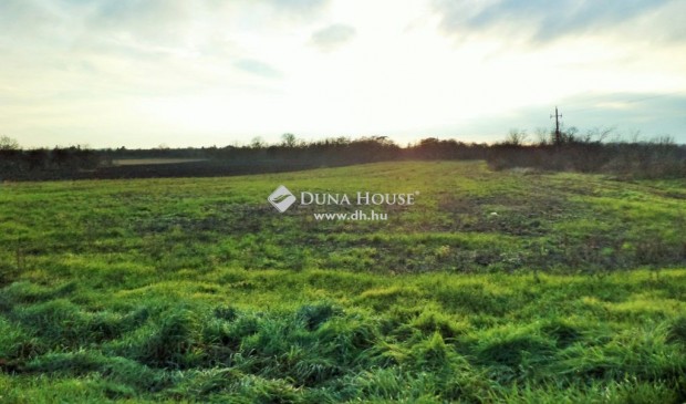 K�poln�sny�ki elad� 10000 nm-es telek