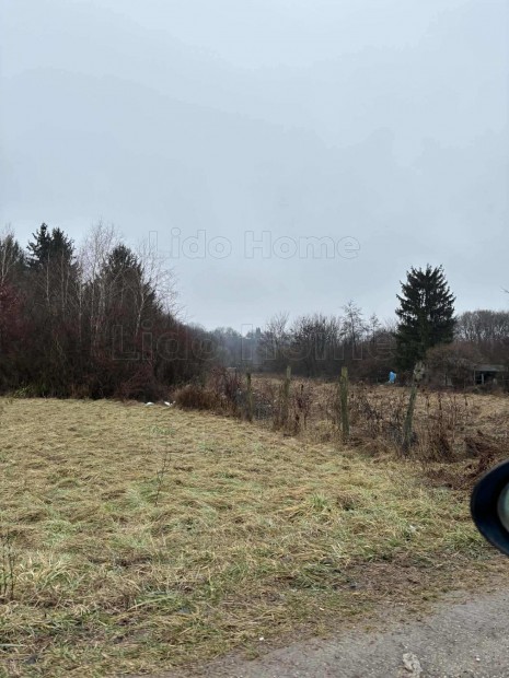 Kaposv�ron a T�r�cskei t� k�zel�ben z�rtkerti telek elad�