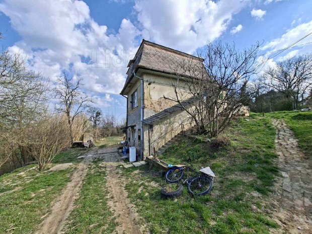 Kaposv�ron elad� z�rtkert