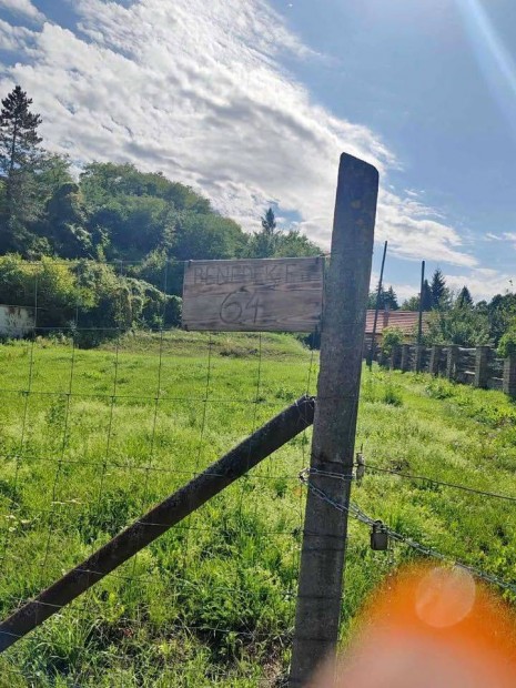 Kaposv�ron kedvez� adotts�g�, z�ld�vezeti k�zm�ves �p�t�si telek elad�