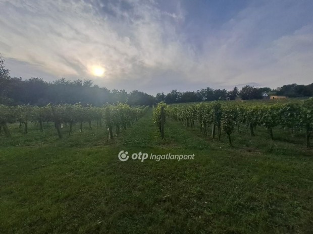 K�ptalant�tii elad� 6590 nm-es telek