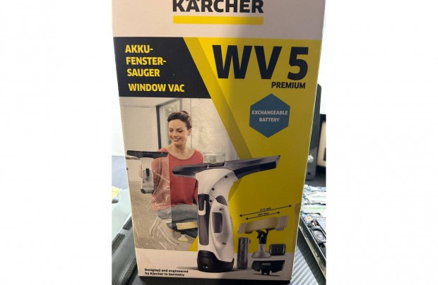 Karcher WV 5 ablaktisztt szett