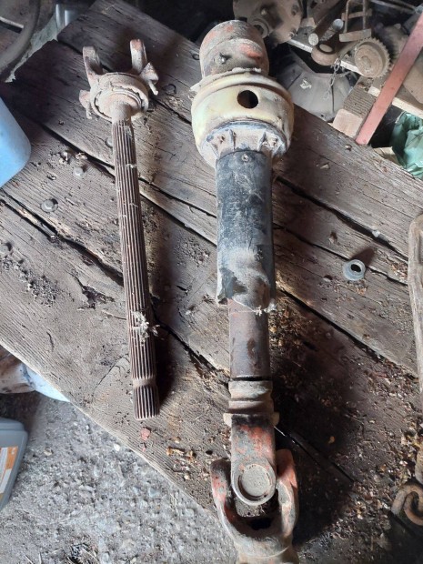 Kard�ntengely mez�g�p