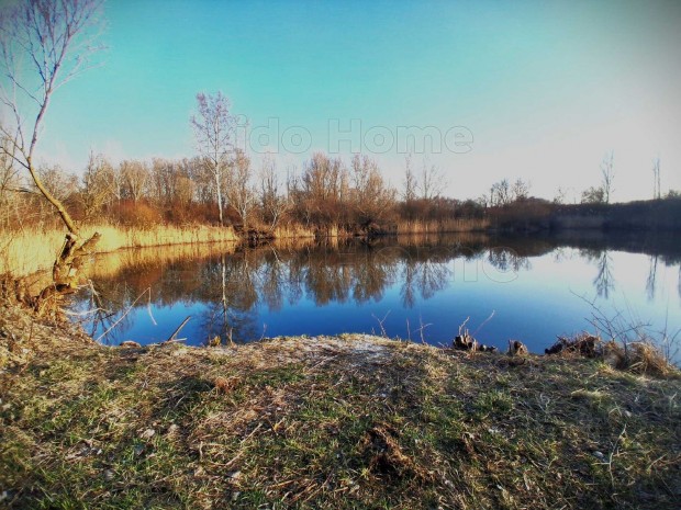 K�rolyh�z�n 5 hekt�ros ter�let t�val elad�