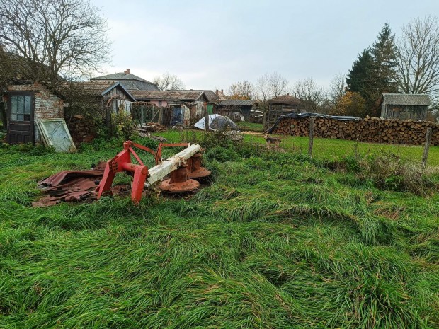 Kasza elad vagy cserlhet 