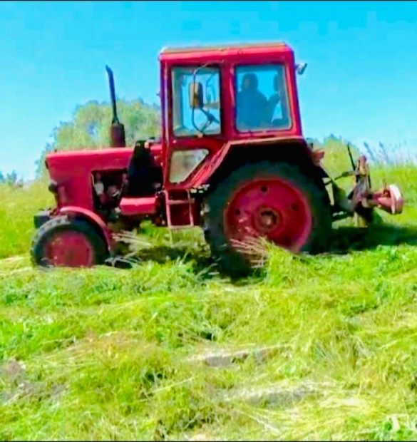 Kaszls MTZ traktorral,Nagykanizsa s 40 km-es vonzskrzetben