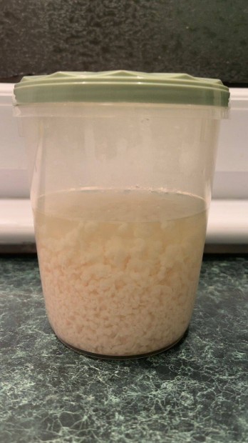 Kauk�zusi kef�rgomba elad�