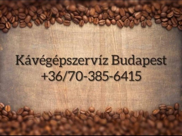 Kvgp kvfz szerviz javts feljts Budapest lli t 467