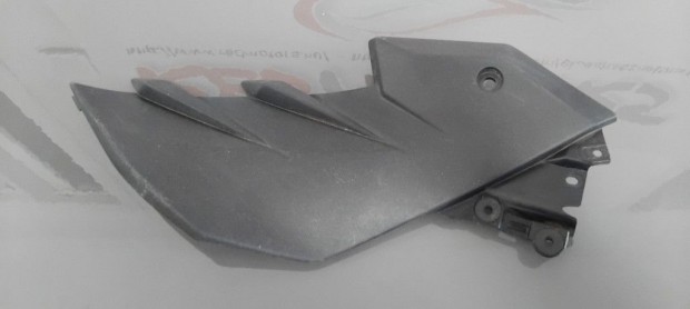 Kawasaki ER 300 Idom