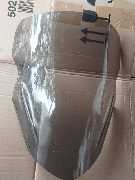 Kawasaki ER 6 F plexi