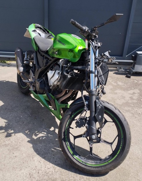 Kawasaki Z 300 Akrapovic