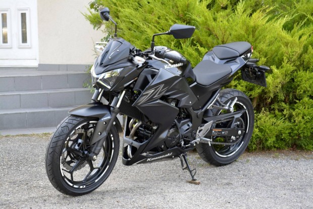 Kawasaki Z 300 MO-i.ABS.2-Tulaj.KARC és Sérülés...
