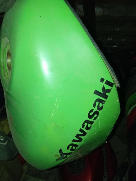 Kawasaki Zzr 600 tank D modell