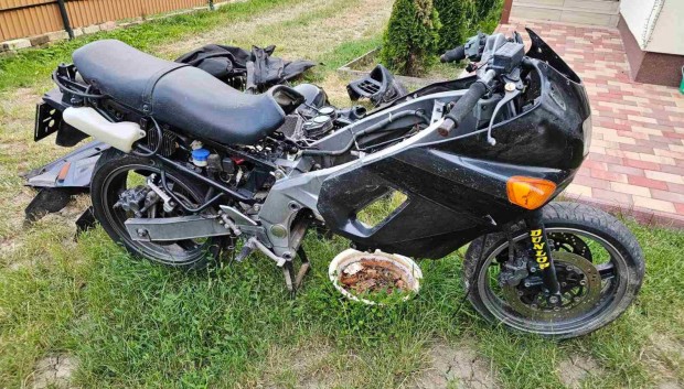 Kawasaki Zzr motorkerékpár