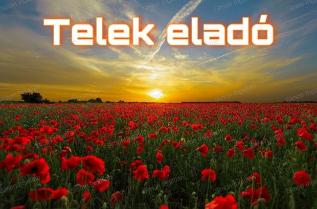 Kecskemét, Felsőszéktóban 1536 nm-es telek Eladó!