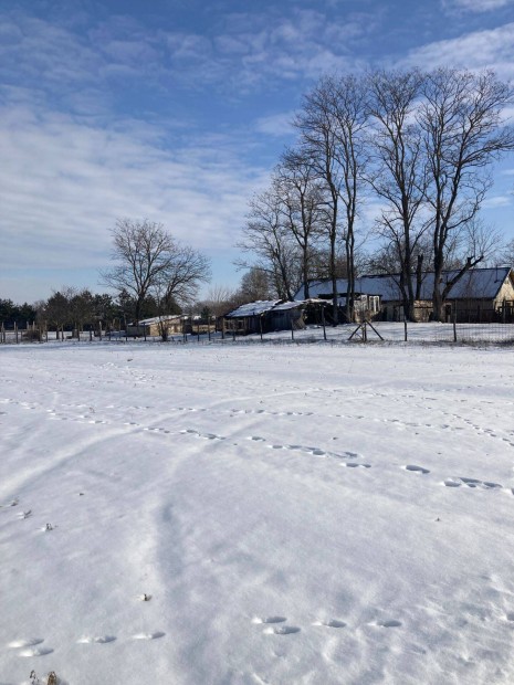 Kecskem�t, Ladanyibene �t, 2,6 ha. epitesi telek elad�!