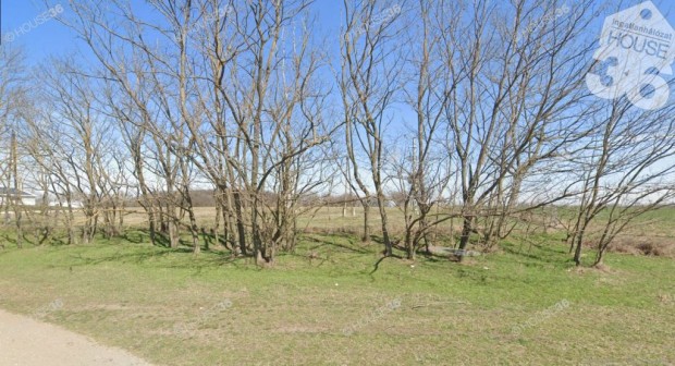 Kecskemten ,10000 m2 terlet telek, KM hasznostsra elad.