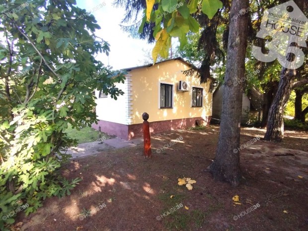 Kecskem�ten hobbi h�z term� gy�m�lcs�ssel ELAD�!