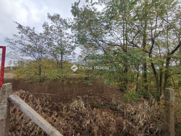 Kecskem�ti 1119 nm-es telek elad�