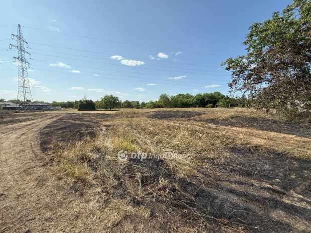 Kecskem�ti 3518 nm-es telek elad�